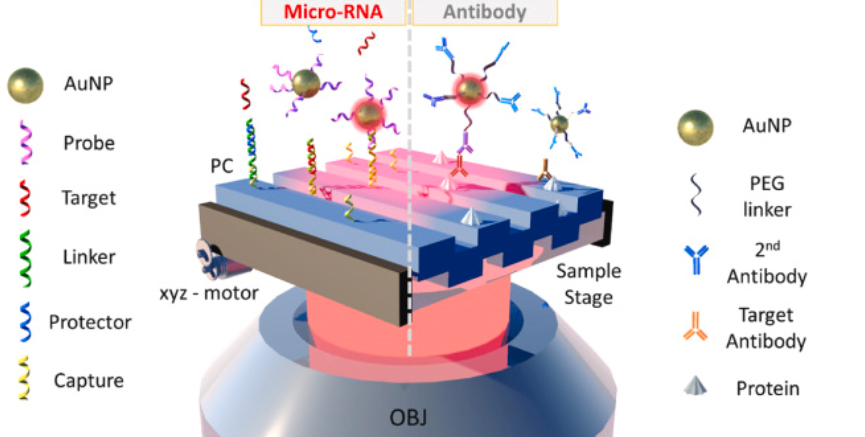 PRAM conceptual illustration showing photonic crystal biomarker capture and nanoparticle labelling